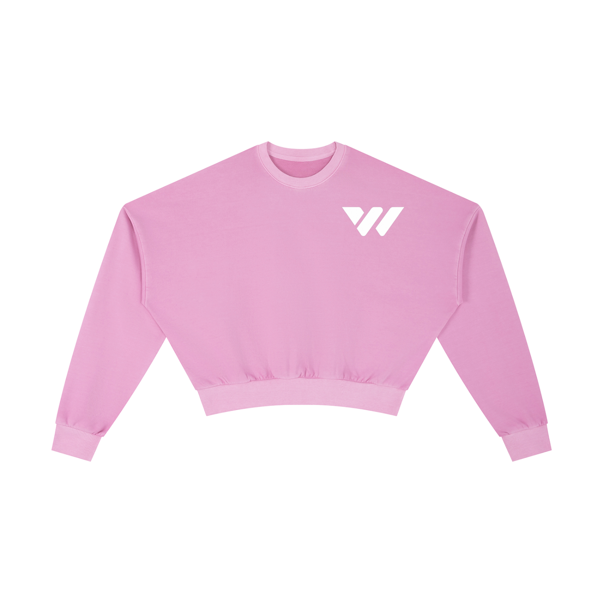 Vintage Washed Cropped Sweatshirt